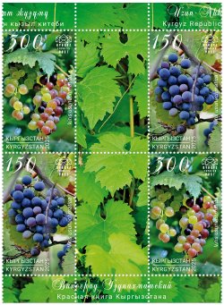 Kyrgyzstan 2025 Uzun-Akhmat Grape 2 sets with labels MNH