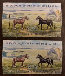 Russia 2025 Horses Novoalexandrovsky stud farm 200 ann Set of 2 blocks perforated and rare imperforated MNH