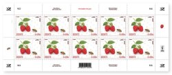 Estonia 2026 Red Fruits Insects raspberry Aita & raspberry beetle Sheetlet MNH