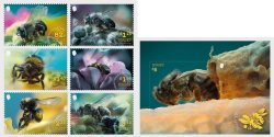 Jersey UK Great Britain 2026 Pollinators Bees Set of 6 stamps and block MNH