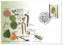 Estonia 2026 Flora and fauna trees and insects Populus tremula & Saperda carcharias FDC