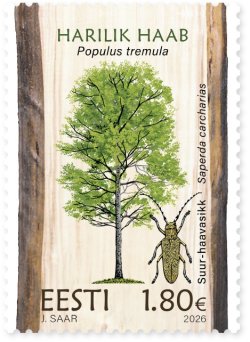 Estonia 2026 Flora and fauna trees and insects Populus tremula & Saperda carcharias Stamp MNH