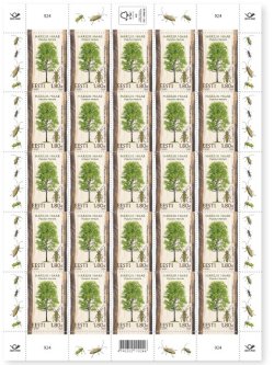 Estonia 2026 Flora and fauna trees and insects Populus tremula & Saperda carcharias Sheetlet MNH