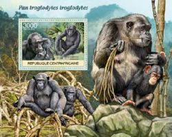 Central African Republic WWF. Chimpanzee (Pan troglodytes),without a WWF logo. Bl 1st