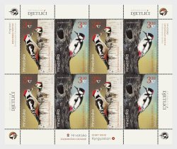 Croatia 2021 Fauna Protected Birds woodpeckers Joint issue with Kyrgyzstan Sheetlet MNH