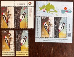 Croatia Kyrgyzstan 2021 Fauna Protected Birds woodpeckers Joint issue Both countries set stamps and block MNH
