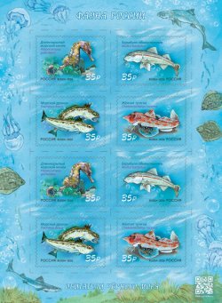 Russia 2026 Black sea fauna Fishes sea horse Sheetlet MNH