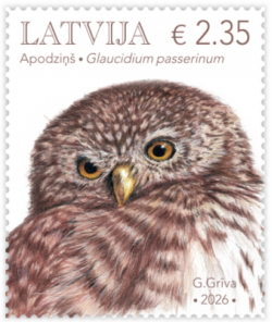 Latvia 2026 Bird of Year Eurasian pygmy owl Stamp MNH