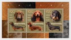 Hungary 2026 Fauna Dogs Dachshund Set of 3 stamps in block MNH