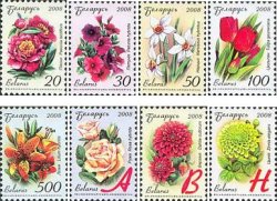 Belarus Belorussia 2008 Flowers definitives Set of 8 stamps MNH