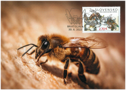Slovakia 2023 Nature Protection Bees Maxicard