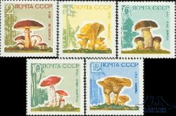 USSR Russia 1964 Mushrooms lacquer paper Set of 5 stamps MNH Michel 2983-2987y