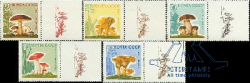 USSR Russia 1964 Mushrooms lacquer paper Set of 5 stamps with different labels MNH Michel 2983-2987y