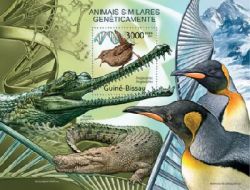 Guinea-Bissau. Fauna. Genetically similar animals. Birds and crocodiles. Bl (1)