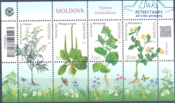 Moldova 2026 Medicinal Plants Set in block MNH