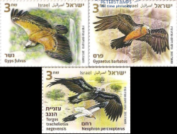 Israel 2013 Fauna Birds Taking The Vultures Under Our Wing Set of 3 stamps MNH