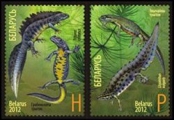 Belarus Belorussia 2012 Fauna Newts Tritons Joint issue with Russia Set of 2 stamps MNH
