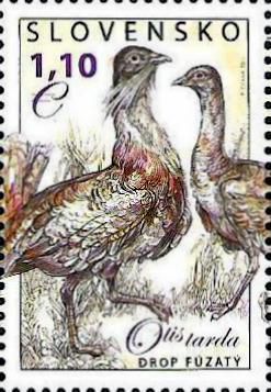 Slovakia 2011 The Nature Conservancy Rare birds Great Bustard (Otis tarda) Stamp MNH