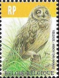 Belgium 2012 Birds. Short-eared Owl (Asio flammeus). Definitive stamp
