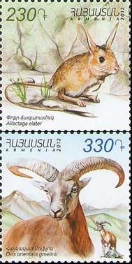 Armenia 2012 Rare mammals Small Jerboa Allactaga elater and Armenian Mouflon Ovis orientalis gmelinii Set of 2 stamps MNH