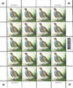 Estonia 2013 Bird of the Year. Grey Partridge (Perdix perdix) Sheetlet of 20 stamps