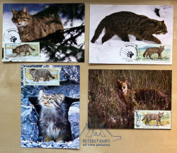 Russia 2014 Fauna Wild cats Rare limited Set of 4 maxicards 