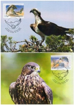 Russia. Birds of Prey. Osprey (Pandion haliaetus) and Eurasian sparrowhawk (Accipiter nisus). Joint issue of Russia and North Korea. Set of 2 maxicards