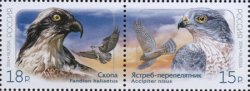 Russia. Birds of Prey. Osprey (Pandion haliaetus) and Eurasian sparrowhawk (Accipiter nisus). Joint issue of Russia and North Korea. Strip 2st