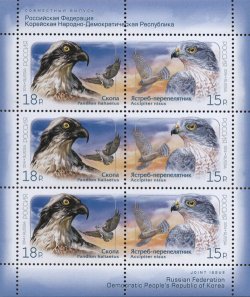 Russia. Birds of Prey. Osprey (Pandion haliaetus) and Eurasian sparrowhawk (Accipiter nisus). Joint issue of Russia and North Korea. Sheetlet of 3 strips