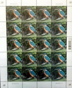 Estonia 2014 Bird of the year Kingfisher (Alcedo Atthis) sheetlet