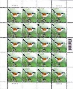 Estonia Estland 2010 Bird of the Year: the red-back shrike (Lanius collurio) Sheetlet mint