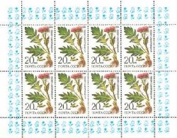 USSR. Medicinal plants of Siberia. Cornflower. Miniature sheet of 8 stamps