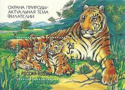 Russia 1992 Nature Conservation Siberian tiger (Panthera tigris altaica) Block MNH