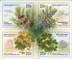 Russia Russland Russie 2015 Flora Trees Plants symbols of cities set of 4 stamps in block 2x2 MNH