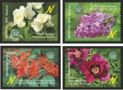 Belorussia Belarus 2015 Central Botanical Garden of NAS of Belarus. Shrubs. Set of 4 stamps
