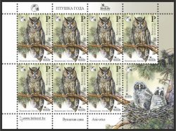 Belorussia. Bird Life. Bird of the year. Long-eared Owl (Asio otus). Sheet of 7 stamps and 1 coupon