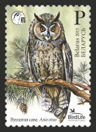 Belorussia Belarus 2015 Bird Life Bird of the year Long-eared Owl (Asio otus) Stamp MNH