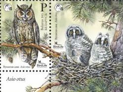 Belorussia. Bird Life. Bird of the year. Long-eared Owl (Asio otus). Strip of stamp and coupon