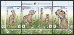 Belorussia 2015 WWF Speckled ground squirrel Souvenir sheet block of 4 stamps MNH