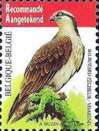 Belgium Belgique Belgien 2011 Definitives Birds Osprey Pandion haliaetus High Face Value Stamp MNH
