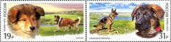 Russia. Service dog breed: Collie and German Shepherd. World Dog Show 2016 in Moscow. Set of 2 stamps