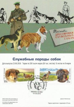 Russia. Service dog breed: Collie and German Shepherd. World Dog Show 2016 in Moscow. Stampcard "Moscow 101000"