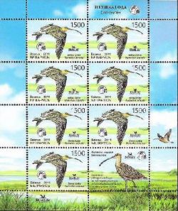Belorussia Belarus Weissrussland 2011 Bird of the Year Curlew sheetlet of 7 stamps and label