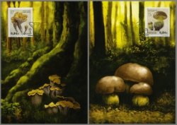 Lithuania. Rare species of mushrooms: Boletus Gomfus clubbed and rooting. Set of 2 maxicards