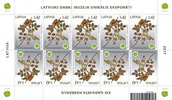 Latvia. National Museum of Natural History. Herbarium of the XIX century: dog rose (Rosa canina). Sheet of 10 stamps
