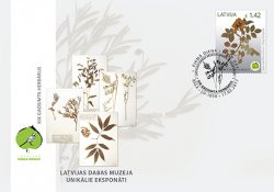 Latvia. National Museum of Natural History. Herbarium of the XIX century: dog rose (Rosa canina). FDC