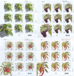 Ukraine. Vegetables: tomato, cucumber, eggplant and pepper. Set of 4 sheets of 8 self-adhesive stamps and coupon in each