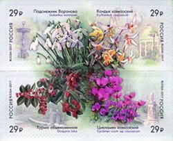 Russia. Flora of Russia. 125th anniversary of the foundation of the park "Arboretum" in Sochi. Set of 4 self-adhesive stamps