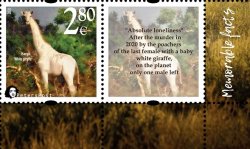 Finland. Peterspost. Fauna. Wild life. "Memorable facts", White giraffe (Kenia), "Absolute loneliness", stamp with label