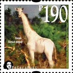 Russia. Peterspost. Fauna. Wild life. "Memorable facts", White giraffe (Kenia), "Absolute loneliness", stamp